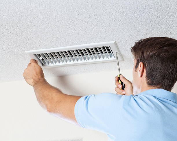 Best Attic Mold Removal  in Cornville, AZ