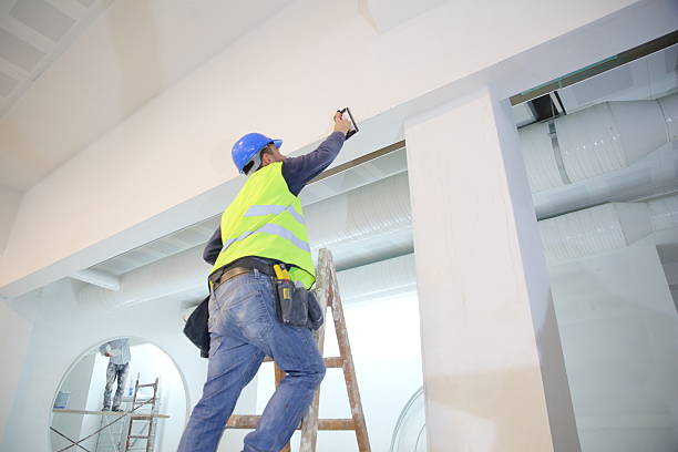 Best Water Damage & Mold Remediation  in Cornville, AZ